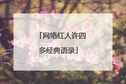 网络红人许四多经典语录
