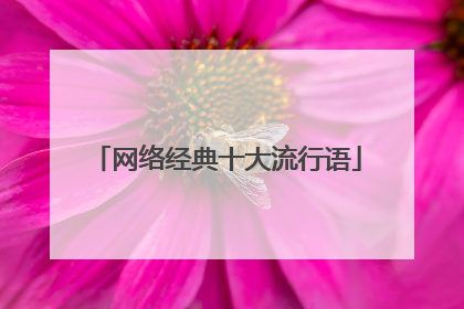 网络经典十大流行语
