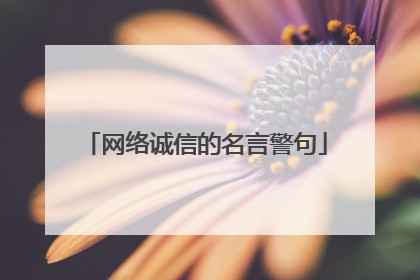 网络诚信的名言警句