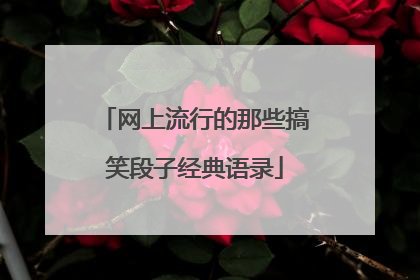 网上流行的那些搞笑段子经典语录
