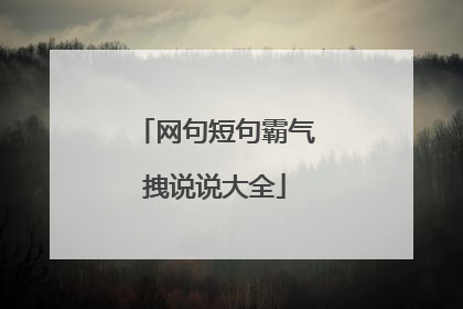 网句短句霸气拽说说大全