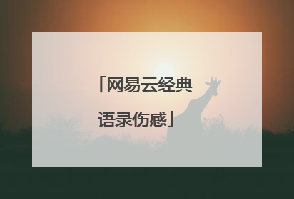 网易云经典语录伤感