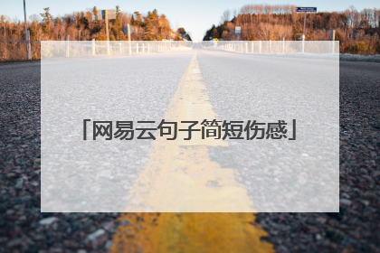 网易云句子简短伤感