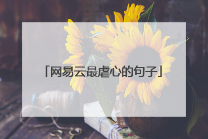 网易云最虐心的句子