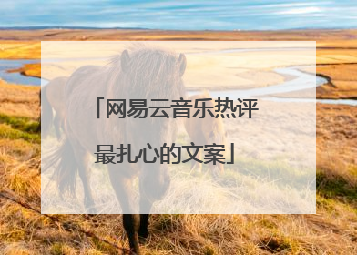 网易云音乐热评最扎心的文案