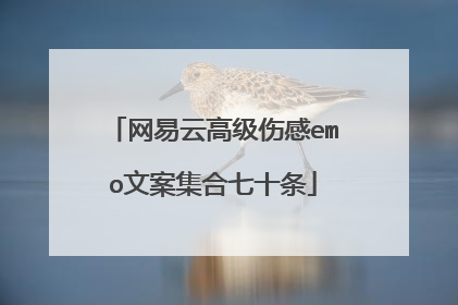 网易云高级伤感emo文案集合七十条