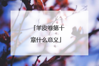 羊皮卷第十章什么意义