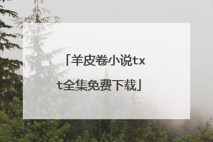 羊皮卷小说txt全集免费下载