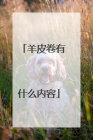 羊皮卷有什么内容