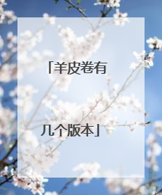 羊皮卷有几个版本