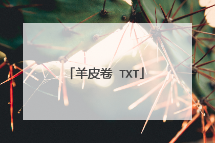羊皮卷 TXT