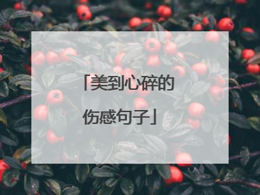 美到心碎的伤感句子