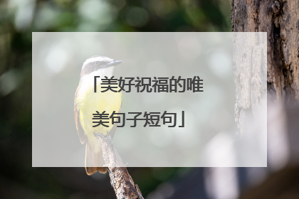 美好祝福的唯美句子短句