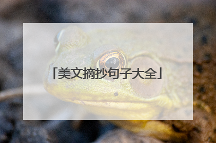 美文摘抄句子大全