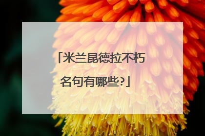 米兰昆德拉不朽名句有哪些?