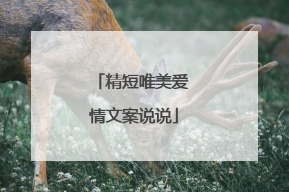 精短唯美爱情文案说说
