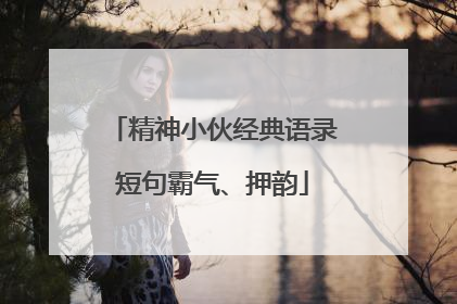 精神小伙经典语录短句霸气、押韵