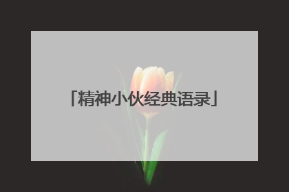 精神小伙经典语录