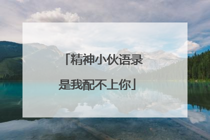 精神小伙语录是我配不上你