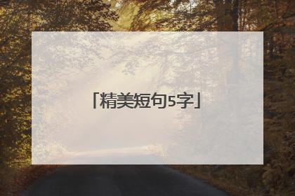 精美短句5字