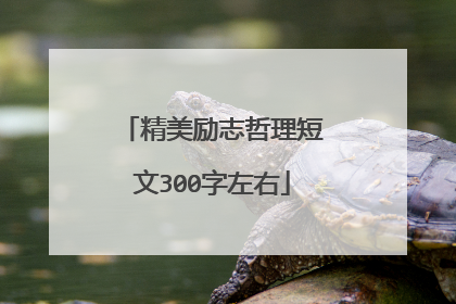 精美励志哲理短文300字左右