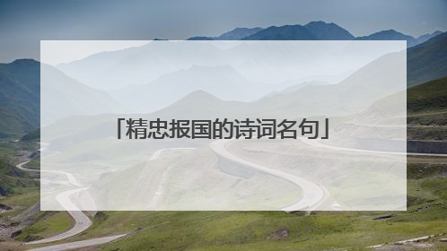 精忠报国的诗词名句
