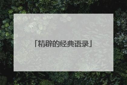 精辟的经典语录