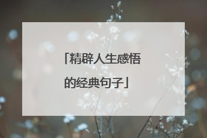 精辟人生感悟的经典句子