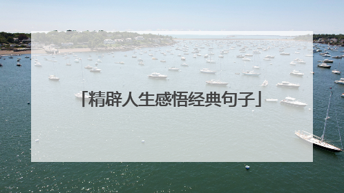精辟人生感悟经典句子