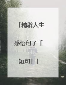 精辟人生感悟句子「短句」