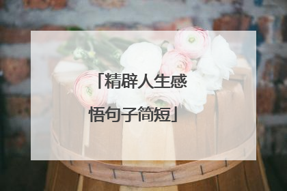 精辟人生感悟句子简短