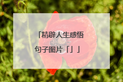 精辟人生感悟句子图片「」
