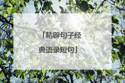 精辟句子经典语录短句