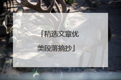 精选文章优美段落摘抄