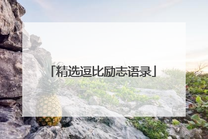 精选逗比励志语录