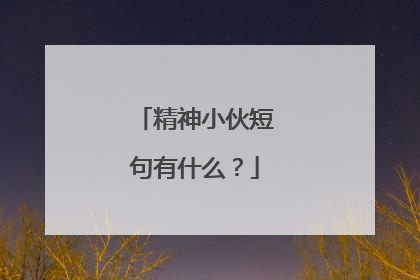 精神小伙短句有什么?