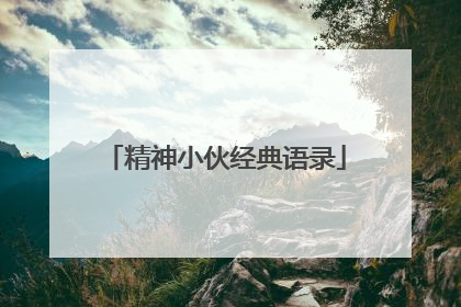精神小伙经典语录