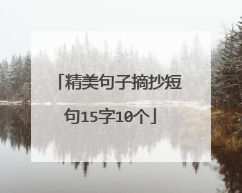 精美句子摘抄短句15字10个