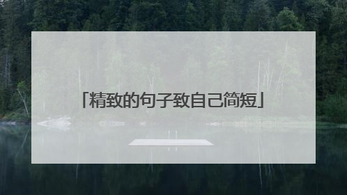 精致的句子致自己简短