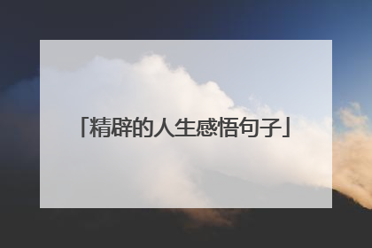 精辟的人生感悟句子