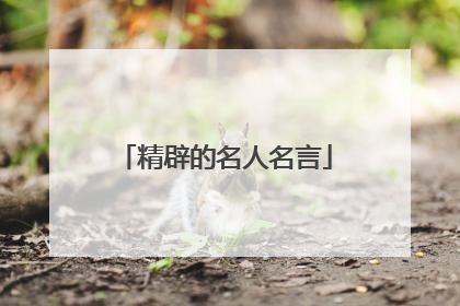 精辟的名人名言