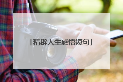 精辟人生感悟短句