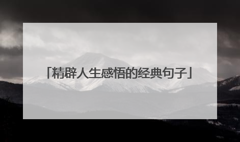 精辟人生感悟的经典句子