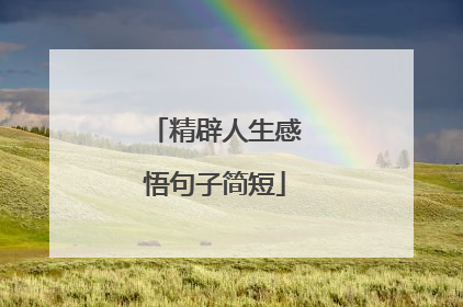 精辟人生感悟句子简短