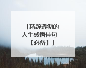 精辟透彻的人生感悟佳句 【必备】
