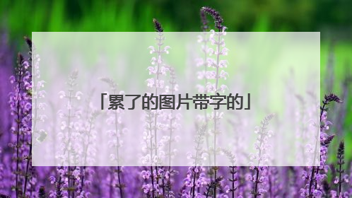 累了的图片带字的