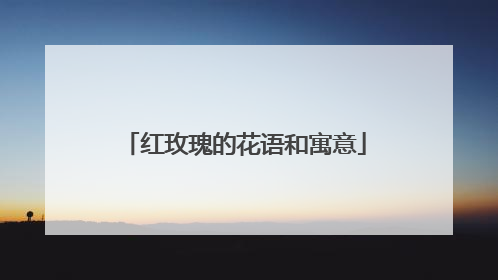 红玫瑰的花语和寓意