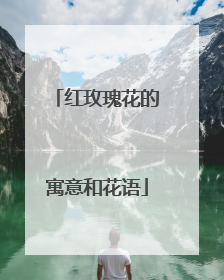 红玫瑰花的寓意和花语