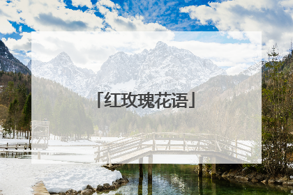 红玫瑰花语