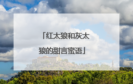 红太狼和灰太狼的甜言蜜语